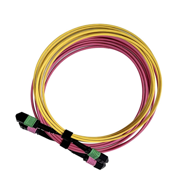 Fiber optic switch license lost