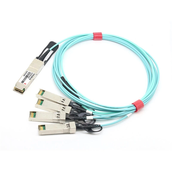 Dual-core optical module matching