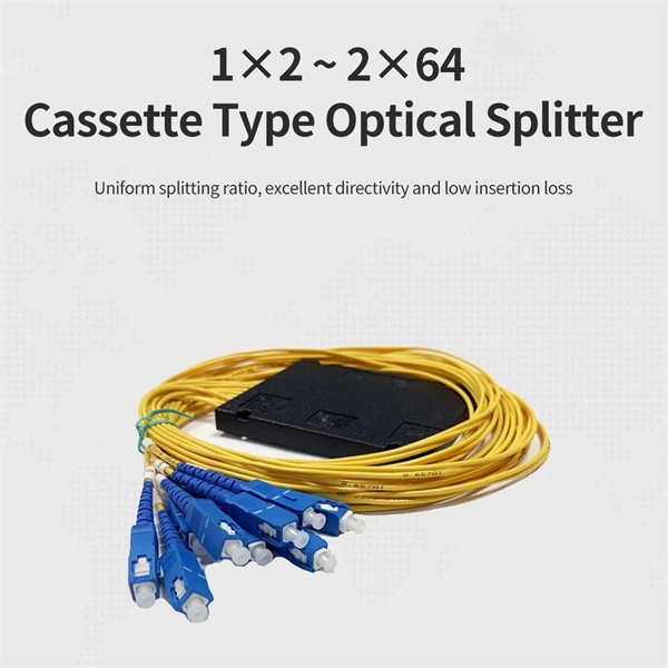 Application Analysis of 2-Core Single-Mode Fiber