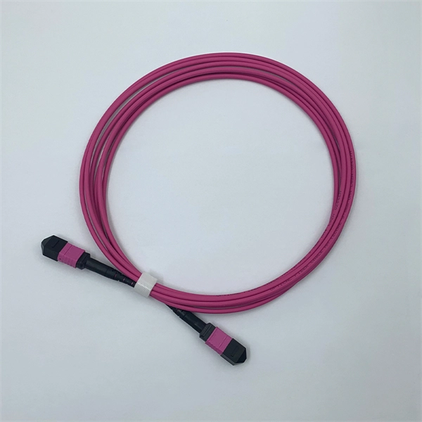 Indian Explosion-proof Distribution Box Accessories Manufacturer