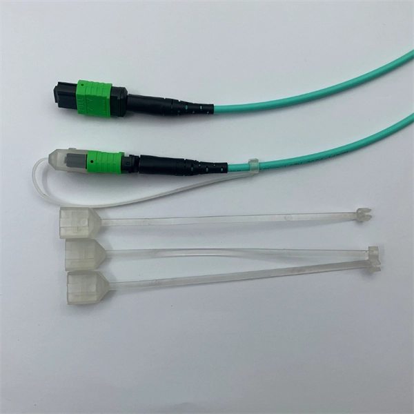 Lalamove transports optical cables