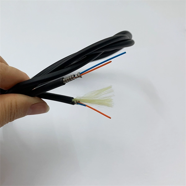 Optical to Electrical Module NAS