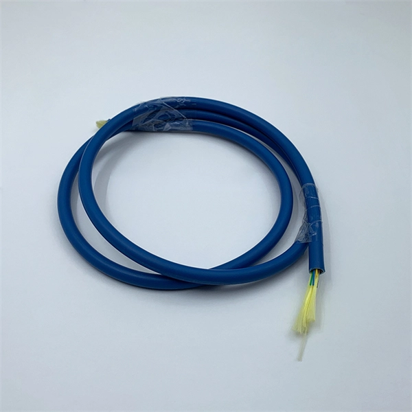 Industrial-grade switch with 2 optical
