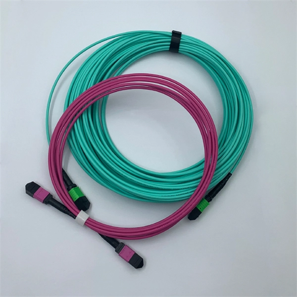 Connecting a fiber optic switch to a network switch