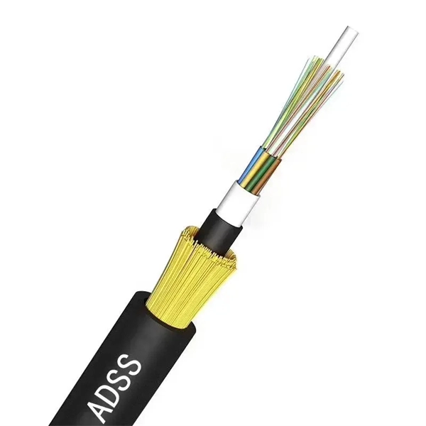 Typical Home Fiber Optic Interface Panel