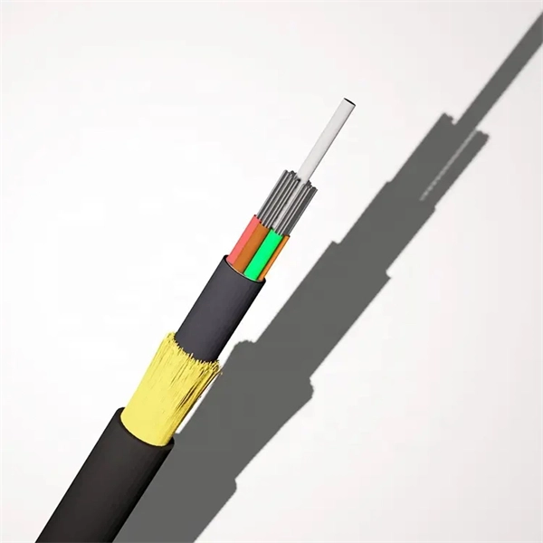 Fiber Optic Communication Skills Assessment Level 3